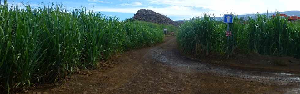 24 mars 2017 - St-Pierre - Bassin Plat - Chemin Croix Jubil - Extraction de roches