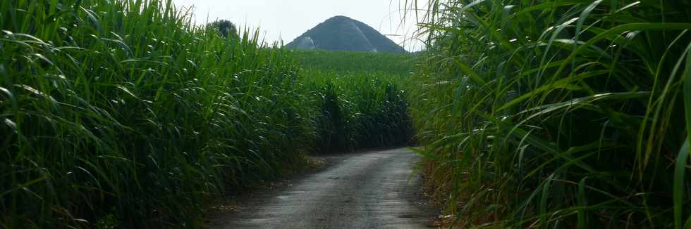 24 mars 2017 - St-Pierre - Bassin Plat - Chemin Croix Jubil -