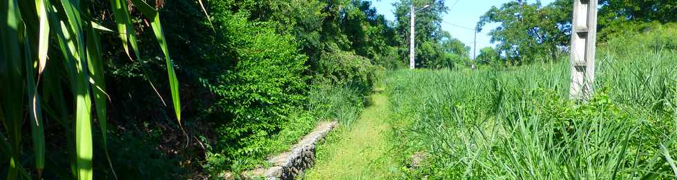 16 mars 2017 - St-Pierre - Canal St-Etienne - La Valle -