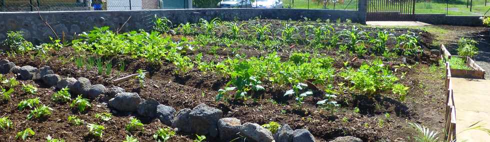 16 mars 2017 - St-Pierre - Bois d'Olives - Jardins partags - Association Jeunesse Cambrai