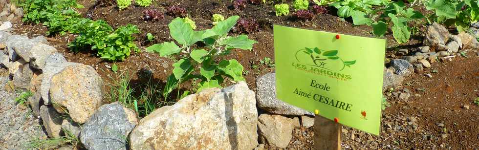 30 mars 2017 - St-Pierre - Bois d'Olives - ANRU - Jardins partags de l'Olivier - Inauguration