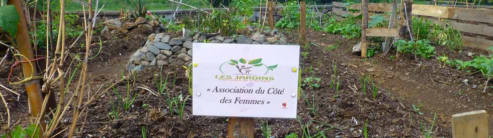 2 avril 2017 - St-Pierre - Bois d'Olives - Jardins Partagés - Terrain Dambreville -