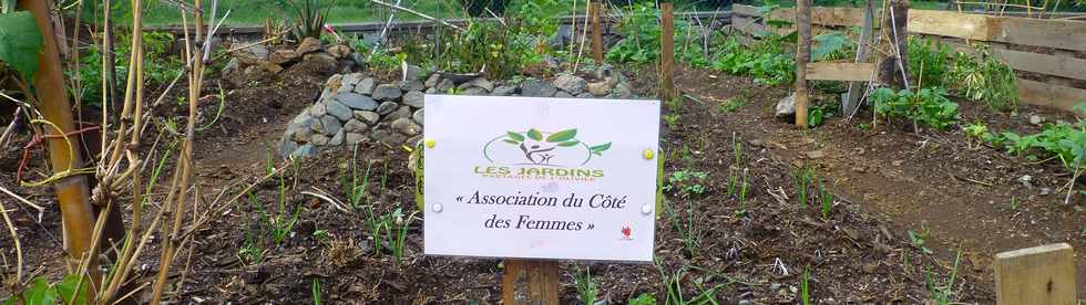 2 avril 2017 - St-Pierre - Bois d'Olives - Jardins Partags - Terrain Dambreville -