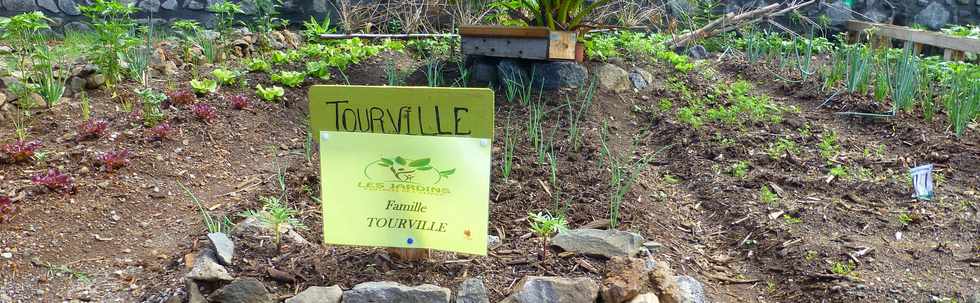 2 avril 2017 - St-Pierre - Bois d'Olives - Jardins Partags - Terrain Dambreville -