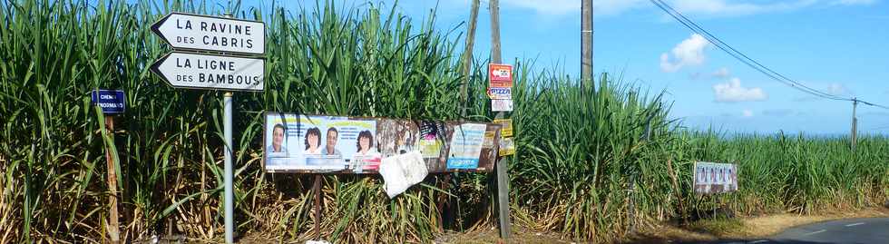 7 avril 2017 - St-Pierre - Ravine des Cabris - Chemin Maurice Thorez