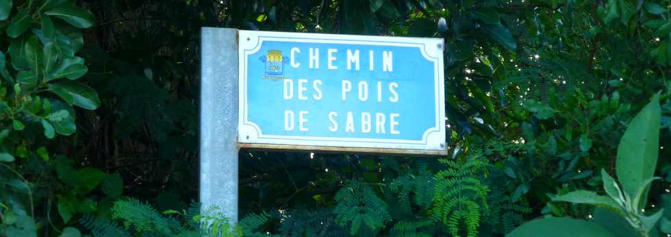 7 avril 2017 - St-Pierre - Ravine des Cabris - Mahavel - Chemin des Pois de sabre