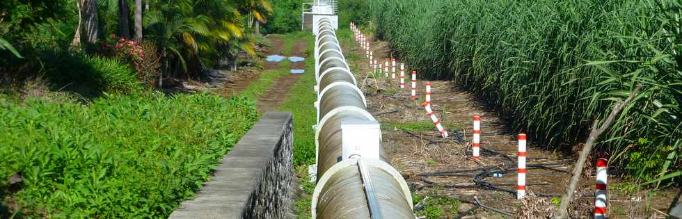 7 avril 2017 - St-Pierre - Ravine des Cabris - Mahavel - Conduite SAPHIR