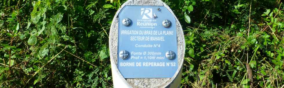 7 avril 2017 - St-Pierre - Ravine des Cabris - Dassy -Borne de repérage SAPHIR