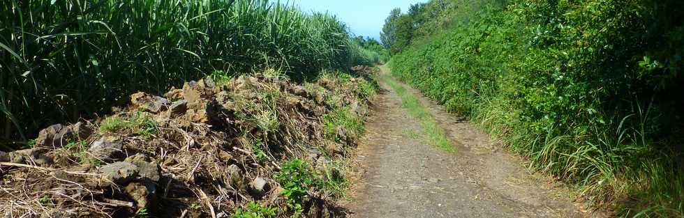 7 avril 2017 - St-Pierre - Dassy - Chemin Conduite haute-