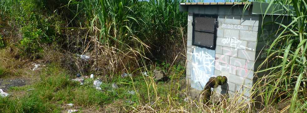 7 avril 2017 - St-Pierre - Ligne des Bambous - Local technique Conduite haute SAPHIR