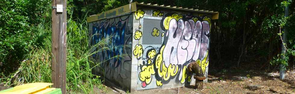 7 avril 2017 - St-Pierre - Ligne des Bambous - Local technique Conduite haute SAPHIR