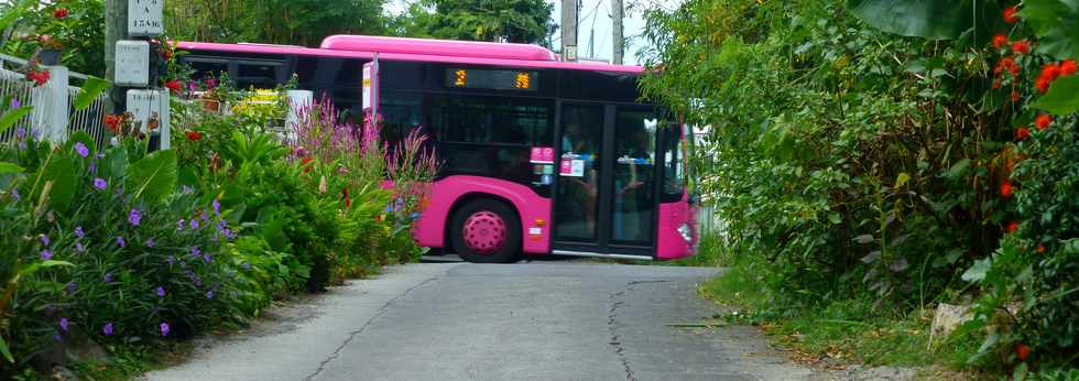 7 avril 2017 - St-Pierre - Ligne des Bambous - Car Alterno