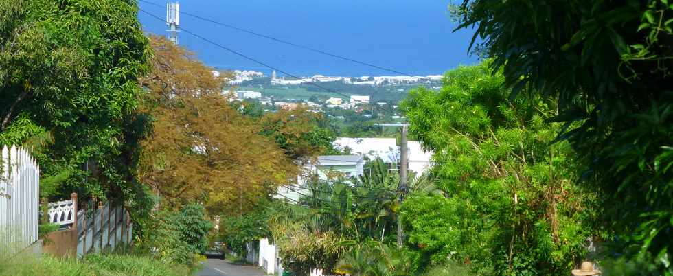 7 avril 2017 - St-Pierre - Ligne des Bambous -