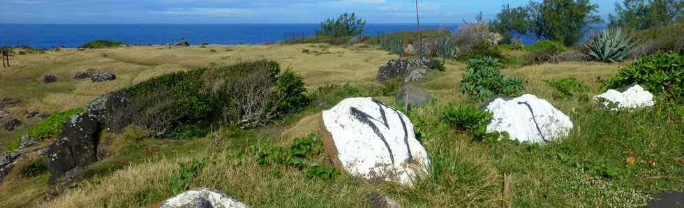 20 avril 2017 - St-Pierre - Pointe de la Ravine des Cafres -