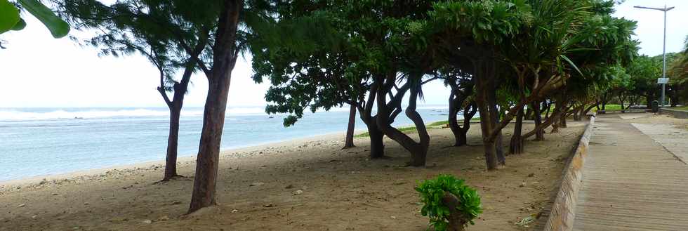 30 avril 2017 - St-Pierre - Jardins de la plage