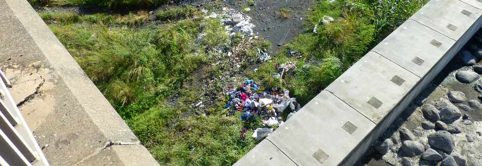 5 mai 2017 - St-Pierre - Rivire St-Etienne - Dtritus