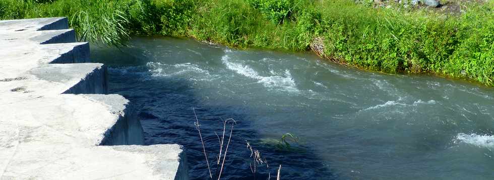 5 mai 2017 - St-Louis - Rivire St-Etienne - Bras de rive droite -