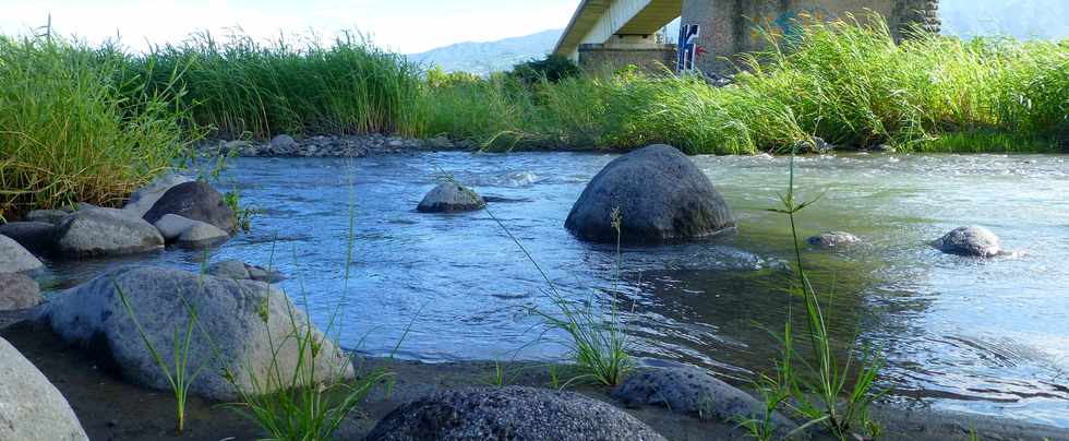 5 mai 2017 - Rivire St-Etienne - Ancien pont - Bras central