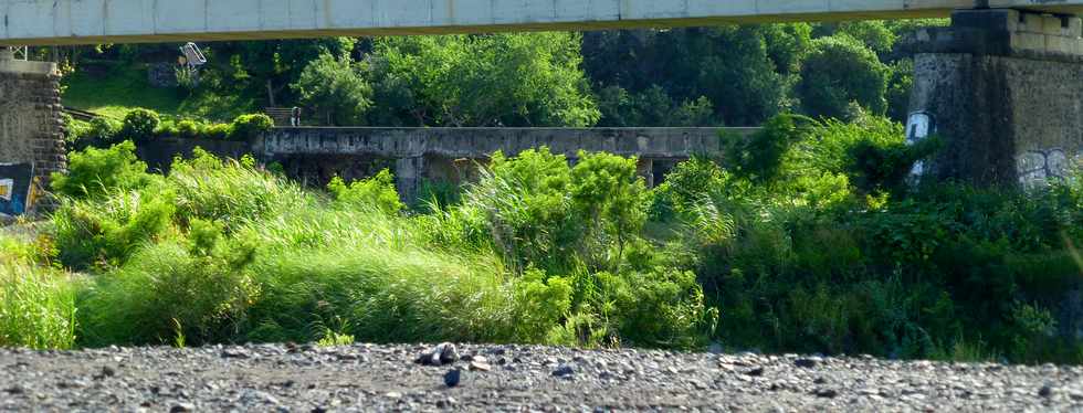 5 mai 2017 - Rivire St-Etienne - Vieux pont -