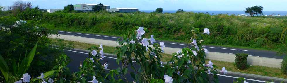 7 mai 2017 - St-Pierre - Emplacement futur changeur RN1- ZI4