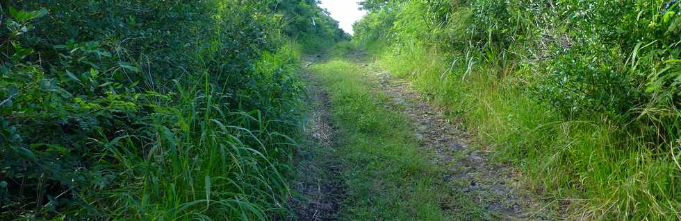 7 mai 2017 - St-Pierre -  Chemin longeant la quatre-voies