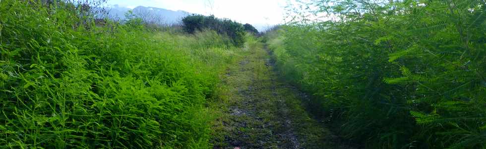 7 mai 2017 - St-Pierre - Emplacement future route RN1- ZI4