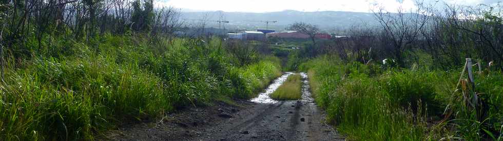 7 mai 2017 - St-Pierre - Emplacement future route RN1- ZI4