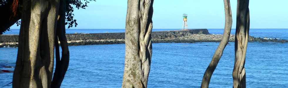 19 mai 2017 - St-Pierre - Terre Sainte - Port et banians