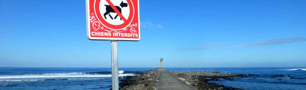 19 mai 2017 - St-Pierre - Terre Sainte - Chiens interdits sur la jetée et la plage