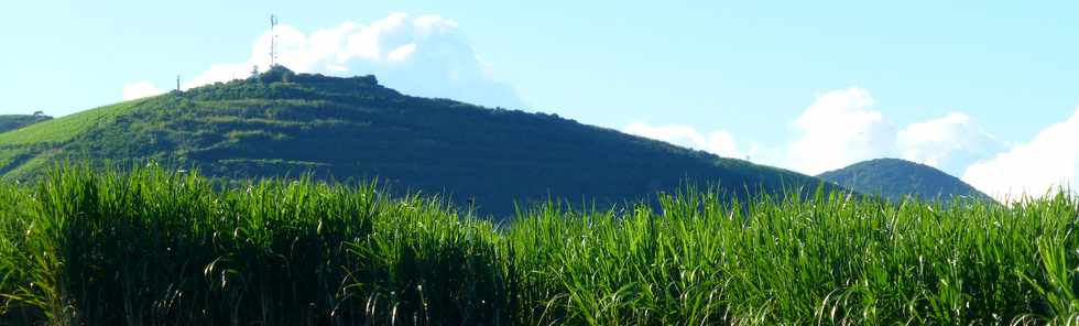 21 mai 2017 - St-Pierre - Voie cannire - Piton de Bassin Martin et Piton Mont Vert