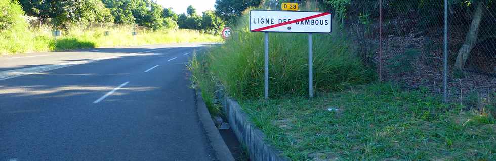 21 mai 2017 - St-Pierre - Ligne des Bambous - Fin de tonte