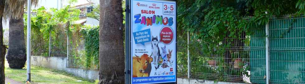 28 mai 2017 - St-Pierre - Affiche salon Zanimos