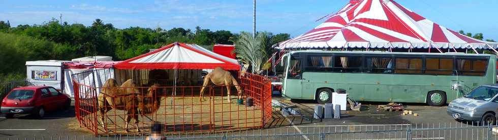 29 mai 2017 - St-Pierre - Parking Auchan - Cirque Achille Zavatta - Dmontage du chapiteau - Fatima et Ivanof