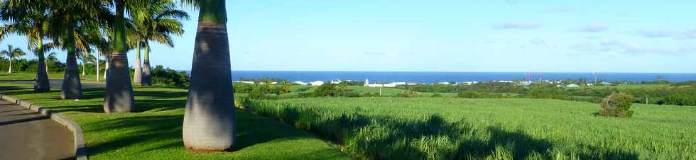 4 juin 2017 - St-Pierre - ZAC Canabady - Vue vers la mer  -