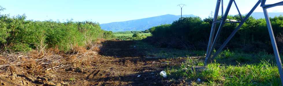 11 juin 2017 - St-Pierre - ZAC Canabady - Travaux de mise en souterrain d'une ligne lectrique