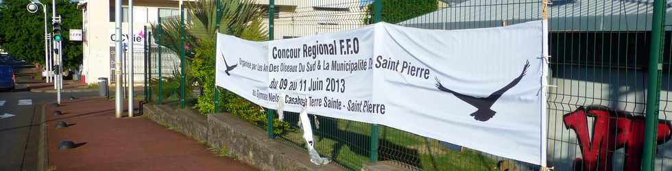 11 juin 2017 - St-Pierre - Casabona - Concours régional oiseaux