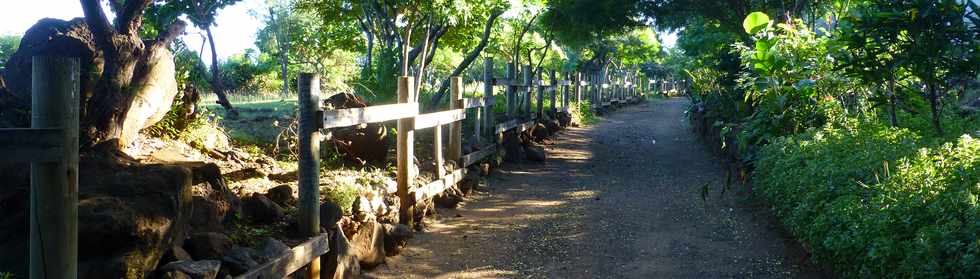 11 juin 2017 - St-Pierre - Sentier littoral Pointe du Diable