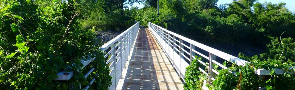 11 juin 2017 - St-Pierre - Bois d'Olives - Canal St-Etienne  - Passerelle sur la ravine des cabris