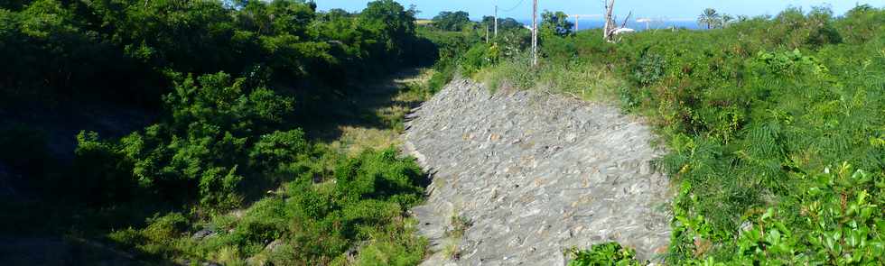 11 juin 2017 - St-Pierre - Bois d'Olives - Ravine des Cabris