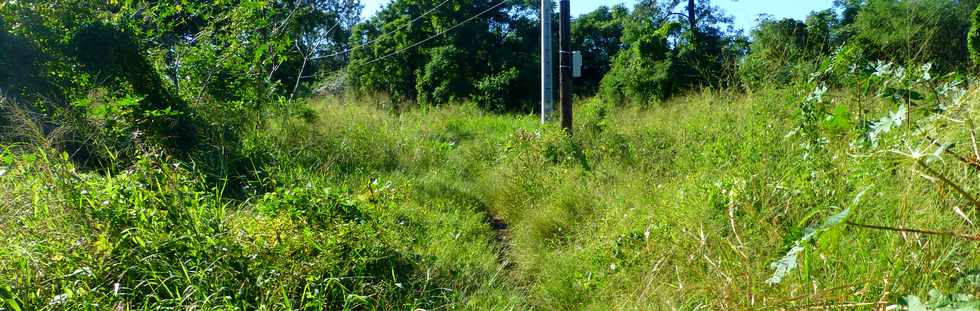 11 juin 2017 - St-Pierre - Bois d'Olives - Canal St-Etienne