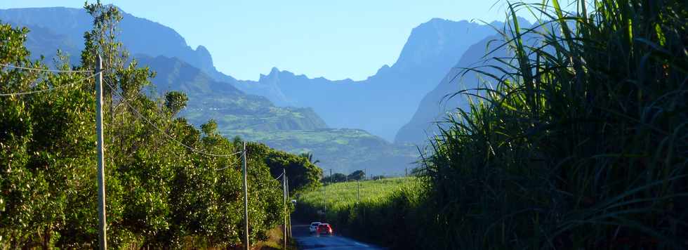 18 juin 2017 - St-Pierre - Chemin Badamier - Belliers