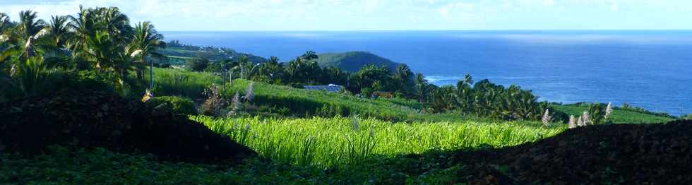 25 juin 2017 - St-Pierre - Grands Bois les Hauts - Chemin Bassin Chevrettes - Vue sur Grande Anse