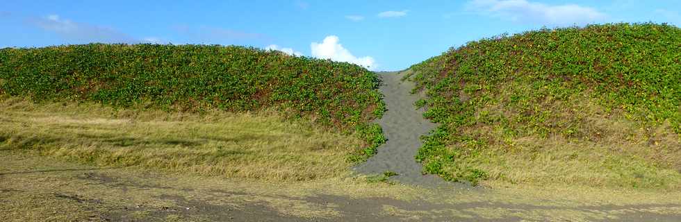 2 juillet 2017 - St-Pierre - Saline Balance - Dunes de sable