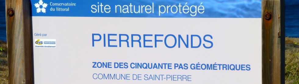 2 juillet 2017 - St-Pierre - Littoral de Pierrefonds - Site naturel protégé