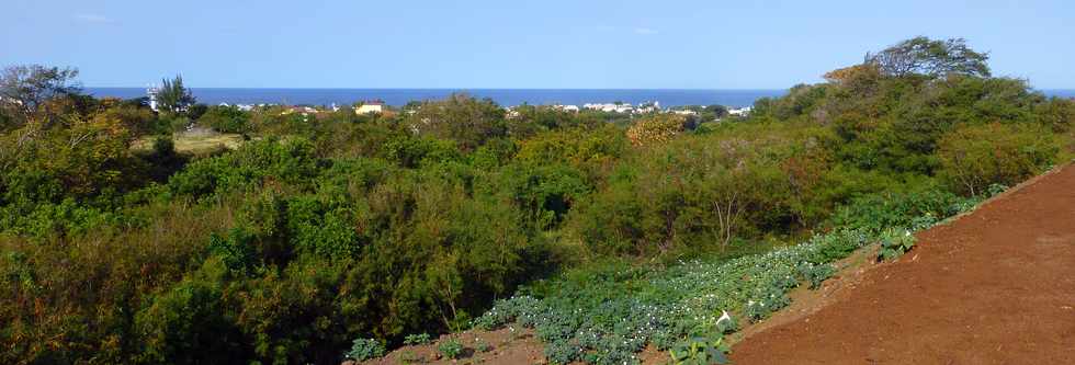 17 septembre 2017 - St-Pierre - ZAC Canabady-