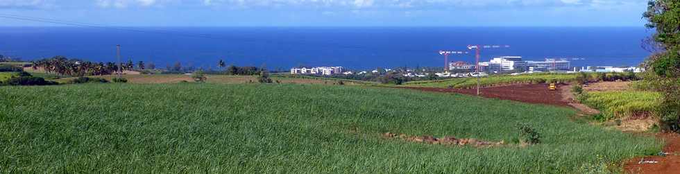 1er octobre 2017 - St-Pierre - Chemin de Bassin Plat - Champs de cannes