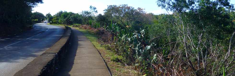 1er octobre 2017 - St-Pierre - Chemin de Bassin Plat - Elagage