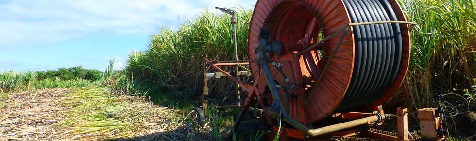 1er octobre 2017 - St-Pierre - Chemin Croix Jubil -  Irrigation