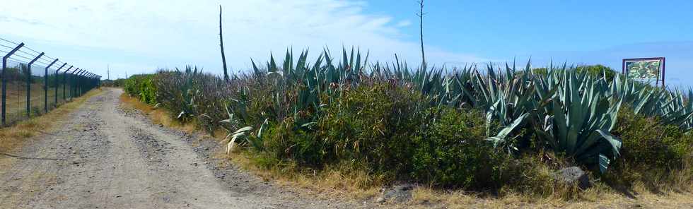 15 octobre 2017 - St-Pierre - Pierrefonds - Sentier littoral de la CIVIS -