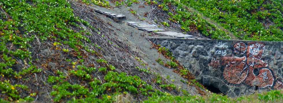 15 octobre 2017 - St-Pierre - Sentier littoral de la CIVIS - Dunes de Saline Balance ensevelissant  un ancien pont du chemin de fer